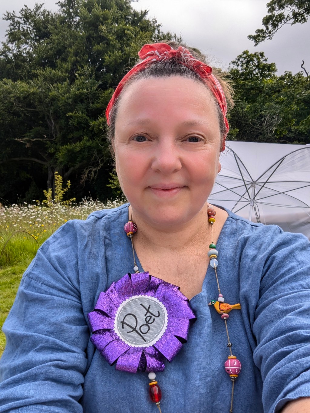 Crowdsourced Creativity